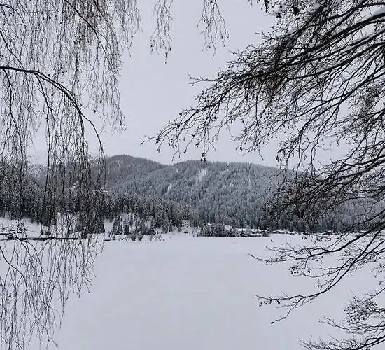 Residenz Von Swisspartments Apartamento *